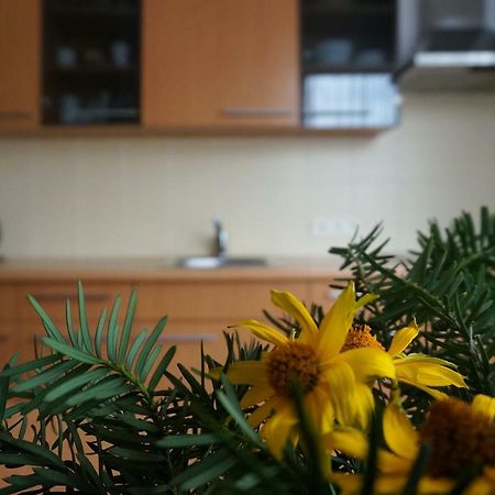 Green House Паланга Экстерьер фото